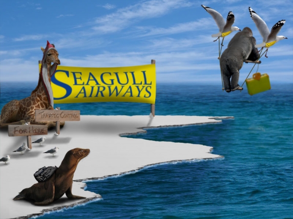 Creation of SeaGull Airways: Step 17